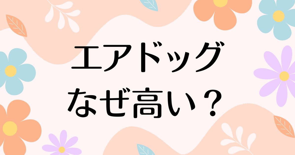 エアドッグはなぜ高い？何がすごいし良い？違いや人気の理由は？