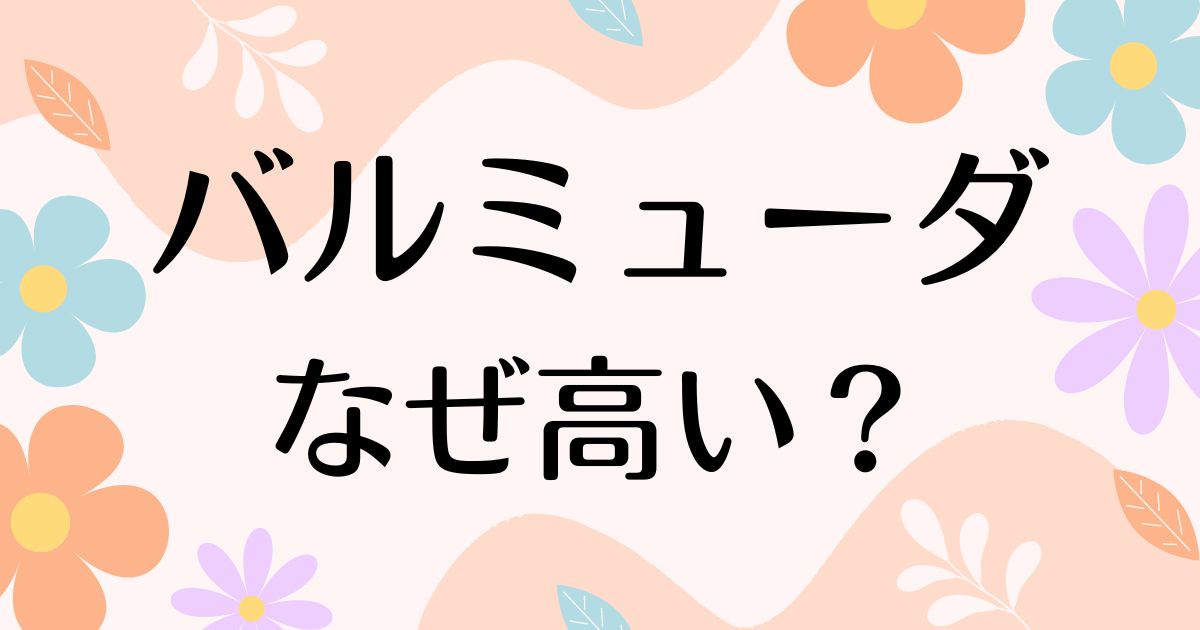 バルミューダは高いだけ？人気だけど何がいいの？なぜ高いのか理由はこの5つ！