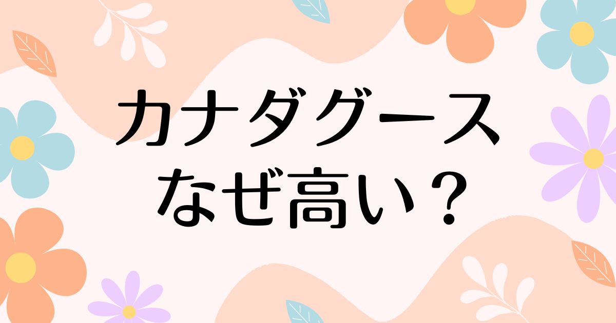 カナダグースはなぜ高い？人気の理由は？安く買う方法はコレ！