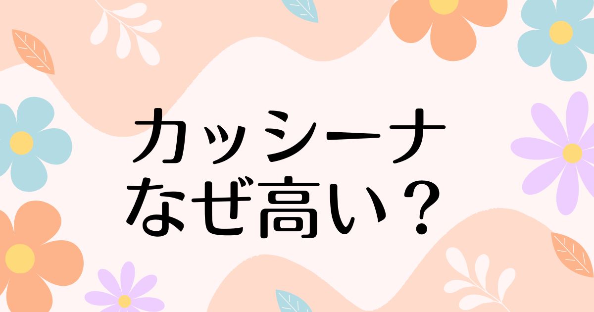 カッシーナはなぜ高い？人気の理由は？安く買う方法はコレ！