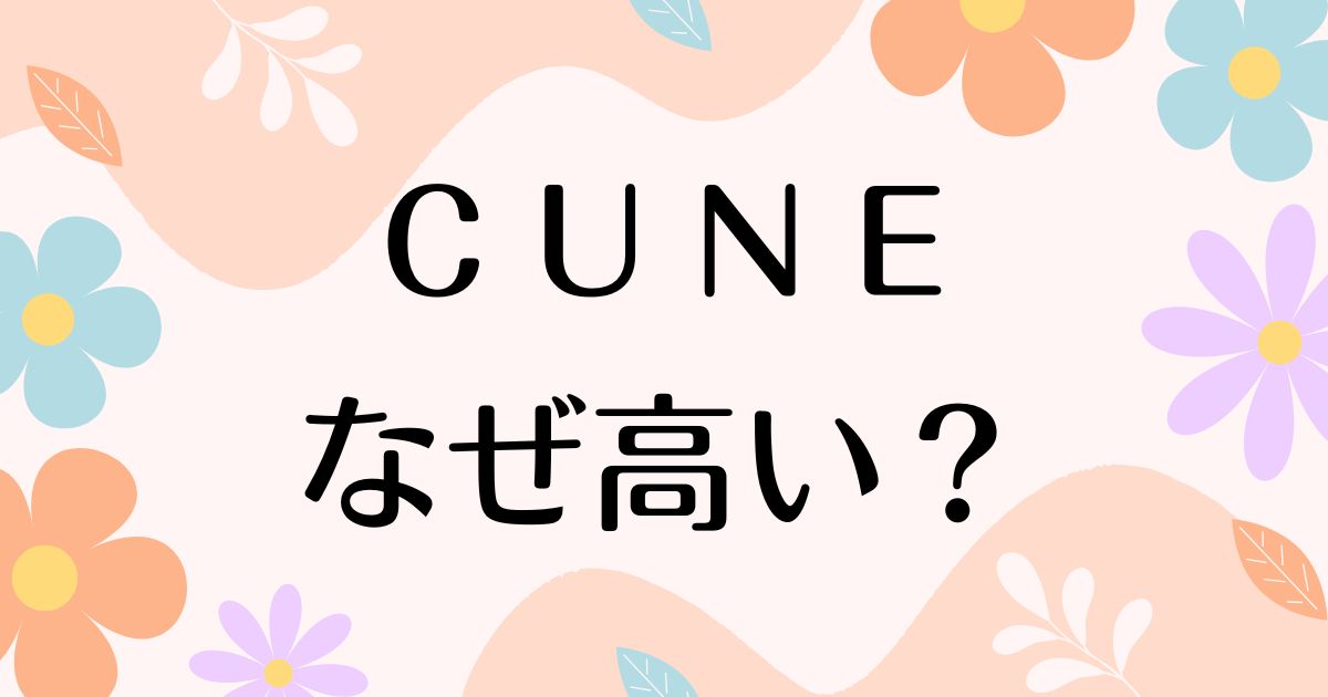 CUNEが高い理由は？着る人はダサい声もある一方でなぜ人気？安く買う方法はコレ！