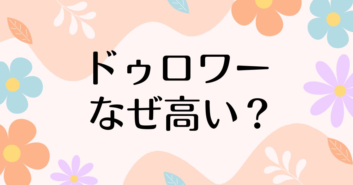 ドゥロワーはなぜ高い？服の値段が高すぎるのに人気の理由は？