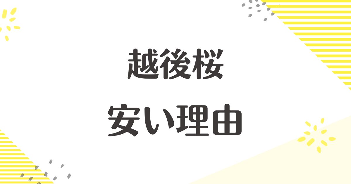 越後桜はなぜ安い？大吟醸はまずい？口コミや評判はどう？