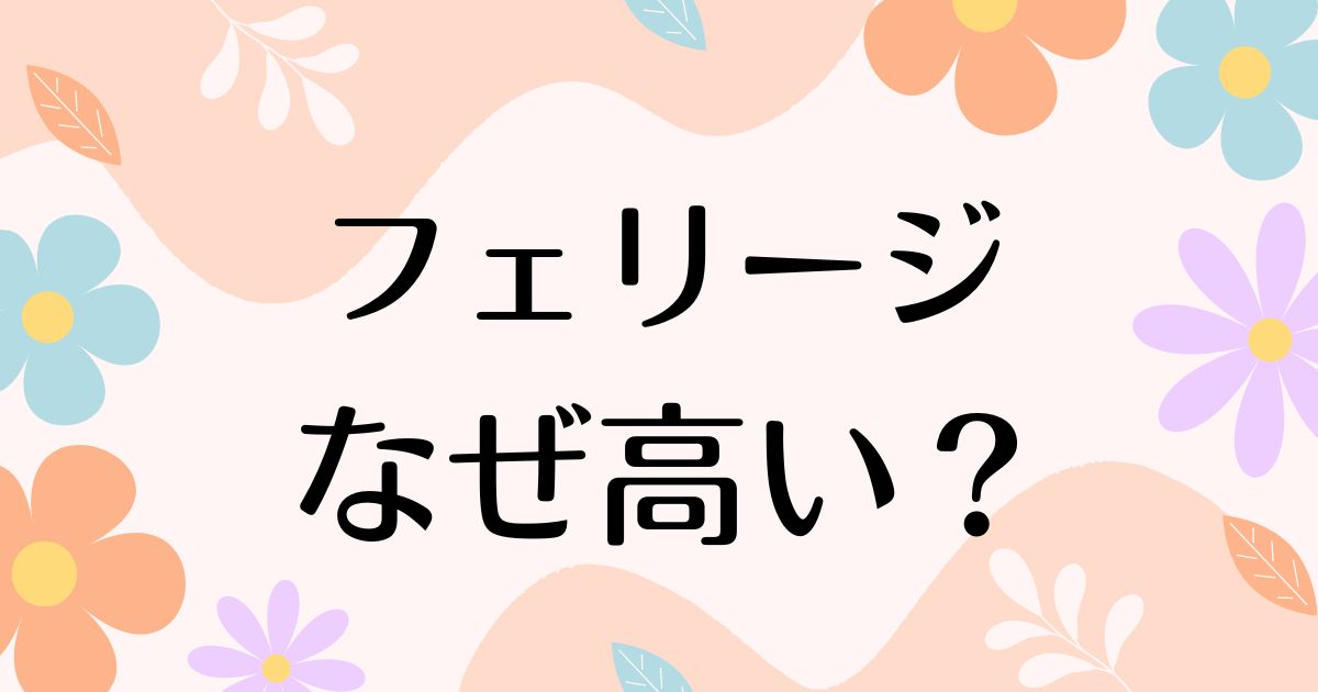 フェリージはなぜ高い？ダサいしへたる評判の一方で人気の理由は？