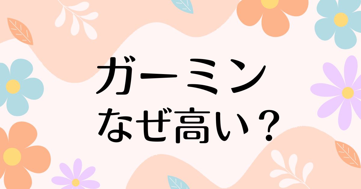 ガーミンはなぜ高い？何ができる？どこの国？人気の理由や安く買う方法はコレ！