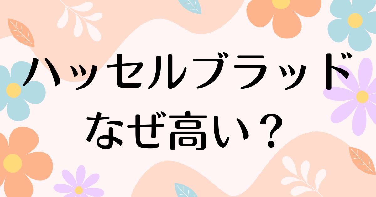 ハッセルブラッドが高い理由は？魅力や人気があるのはなぜ？安く買う方法はコレ！