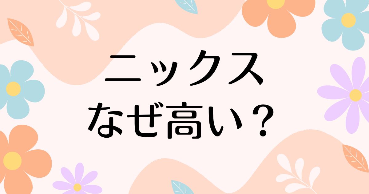 ニックスはなぜ高い？腰道具が人気の理由は？安く買う方法はコレ！