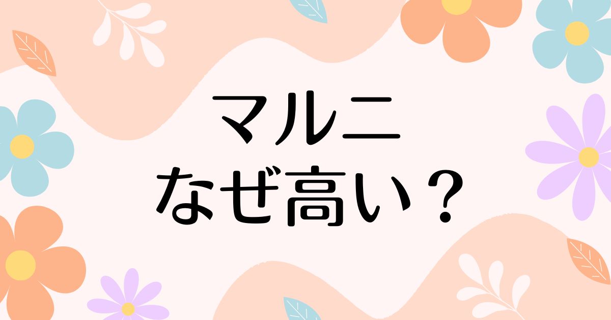 マルニはなぜ高い？人気の理由は？安く買う方法はコレ！