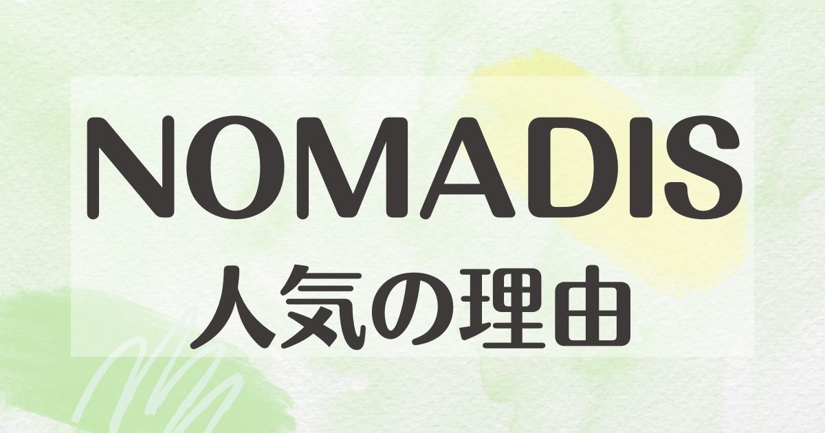 NOMADIS(ノマディス)はなぜ人気？ナイロントートは使いにくい？