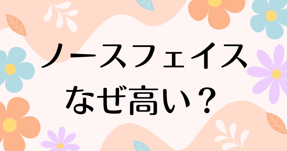 ノースフェイスはなぜ高い？人気ありすぎで異常な流行り？品質は悪い？