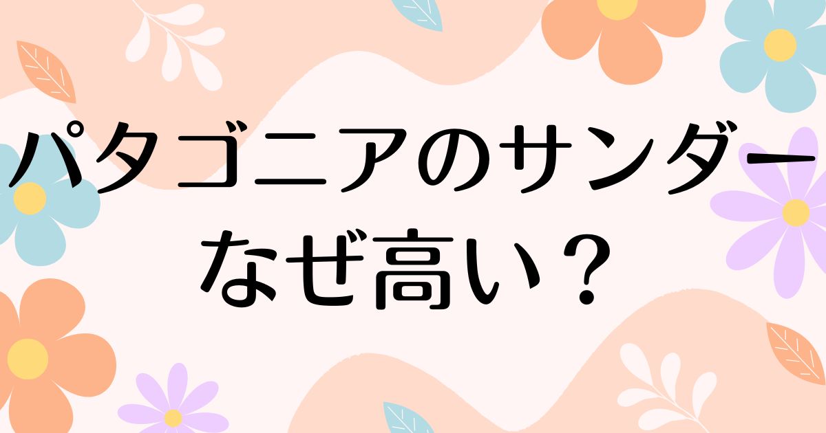 パタゴニアのサンダーはなぜ高い？ビンテージで人気？安く買う方法はコレ！