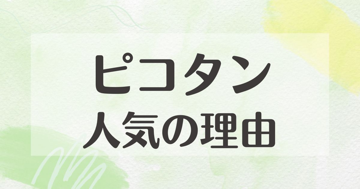 エルメスのピコタンはなぜ人気？悪い口コミはない？後悔やデメリットはある？