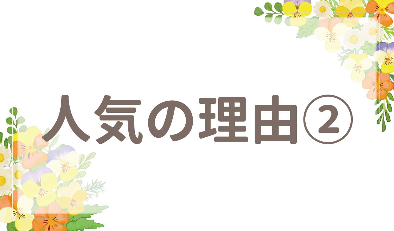 なぜ人気？人気の理由2