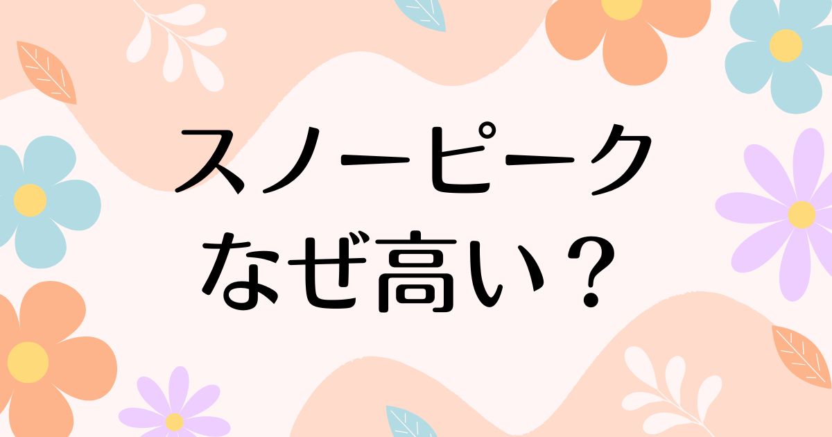 スノーピークはなぜ高い？人気の理由は？安く買う方法はコレ！