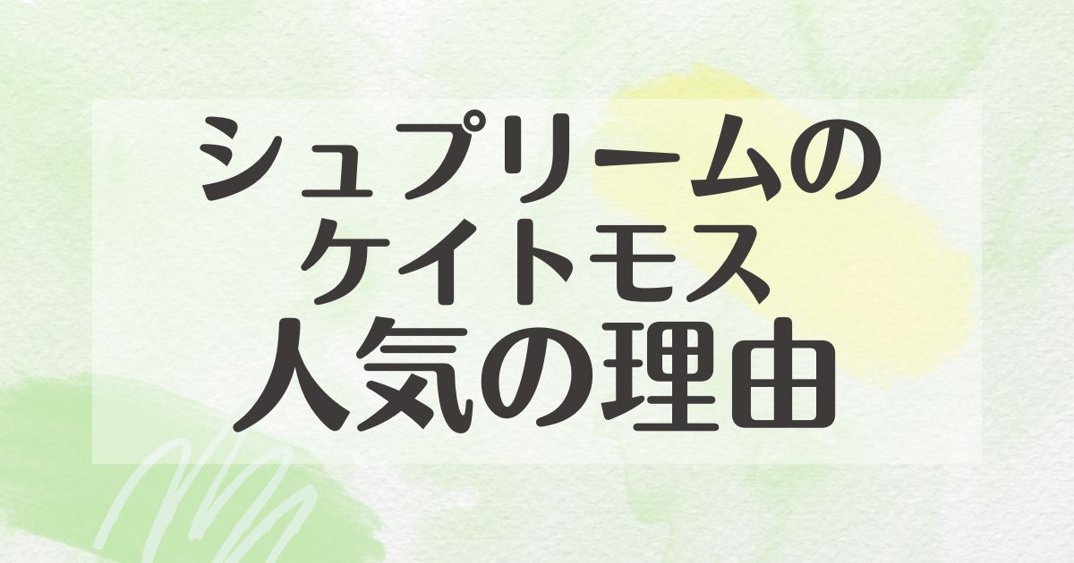 シュプリームのケイトモスはなぜ人気？良さがわからない人多数？高い？