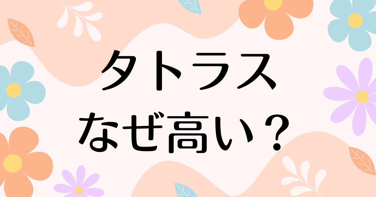 タトラスはなぜ高い？ダウンの評判がよく人気の理由は？安く買う方法はコレ！