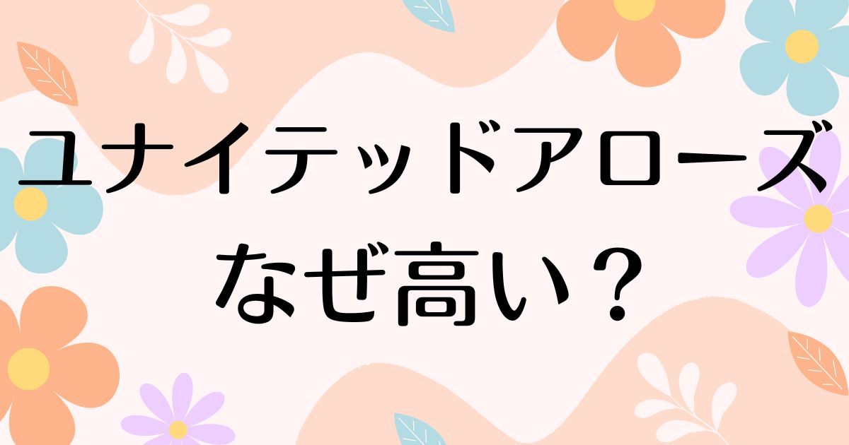 ユナイテッドアローズはなぜ高い？高いだけ？高すぎるのに人気の理由は？