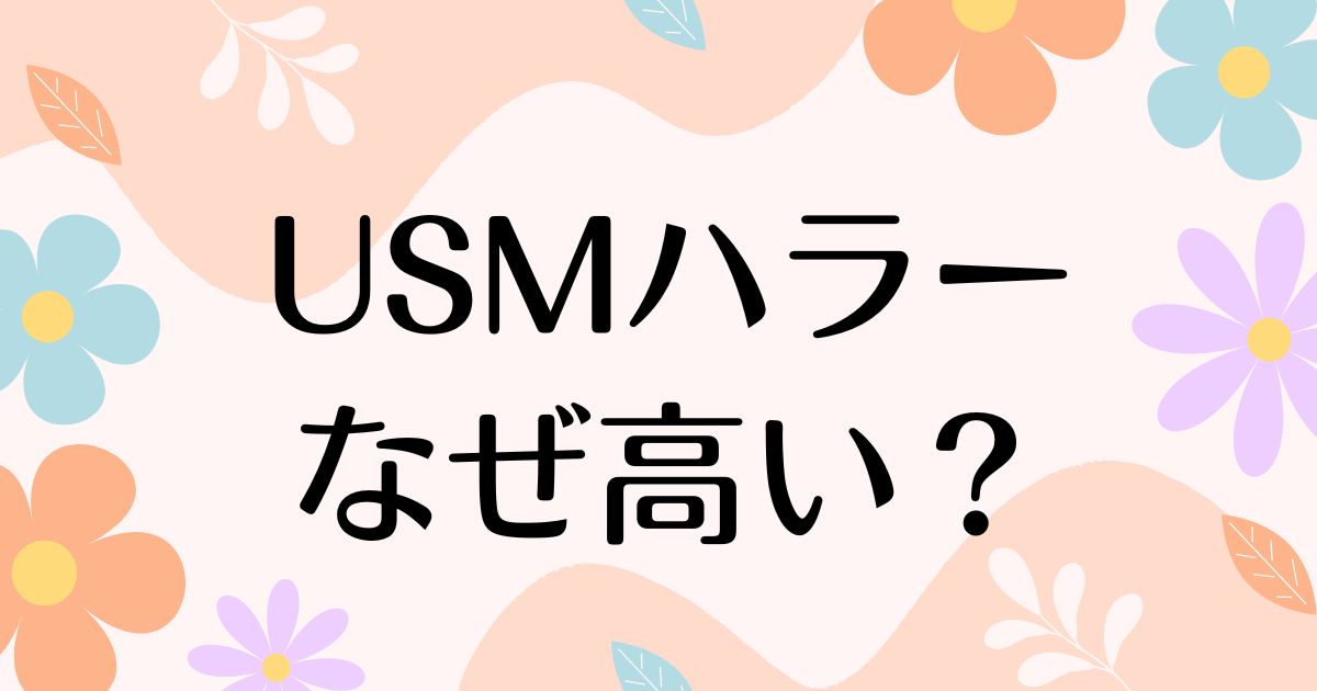 USMハラーはなぜ高い？どこで買う？人気の理由は？安く買う方法はコレ！