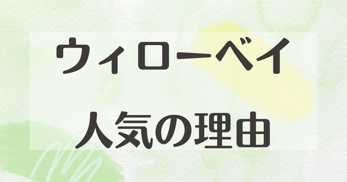 ウィローベイはなぜ人気？ダサい＆痛い口コミはない？年齢層は何歳まで？