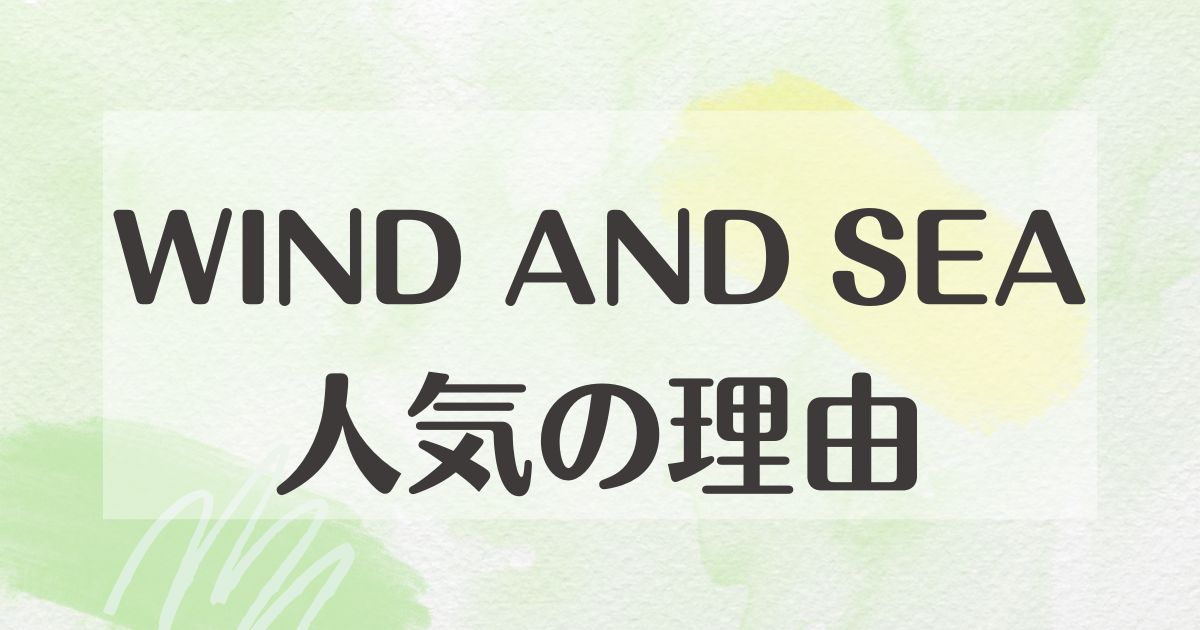 WIND AND SEAはなぜ人気？理由は？ダサい評判や口コミはない？